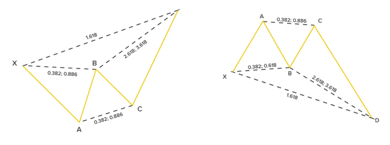 crab Pattern.webp